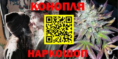 СК Гагарин