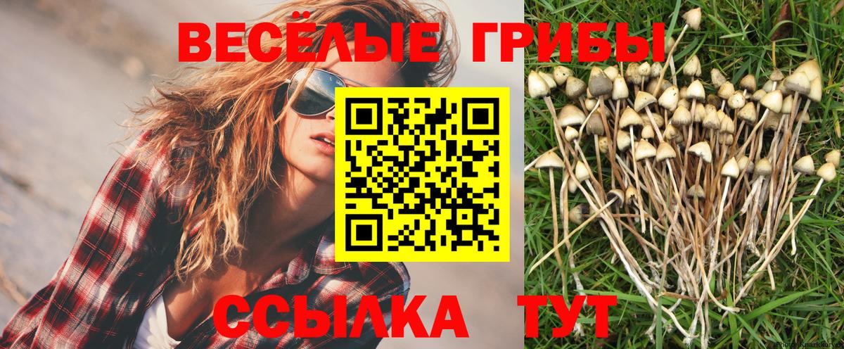 Галлюциногенные грибы мухоморы  Галлюциногенные грибы Psilocybine cubensis  Вход с VPN  Новозыбков 